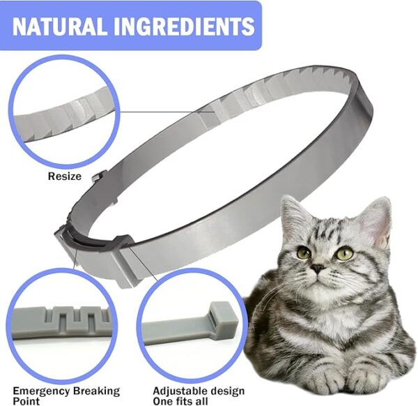 Quivanta CAT Collars