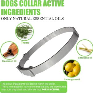 Quivanta Dog Collars Adjustable