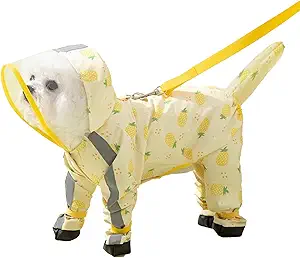 Dytole Dog Raincoat