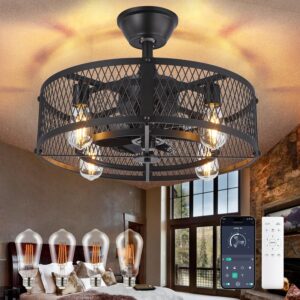 Depuley Caged Ceiling Fan