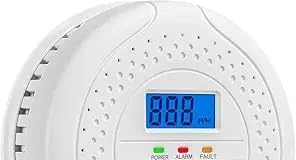 Fleaks Funly Carbon Monoxide detectors