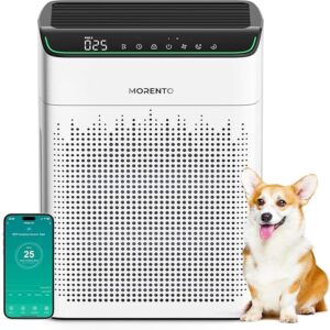 MORENTO Air Purifiers
