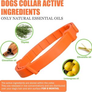 Qualihome Dog Collars