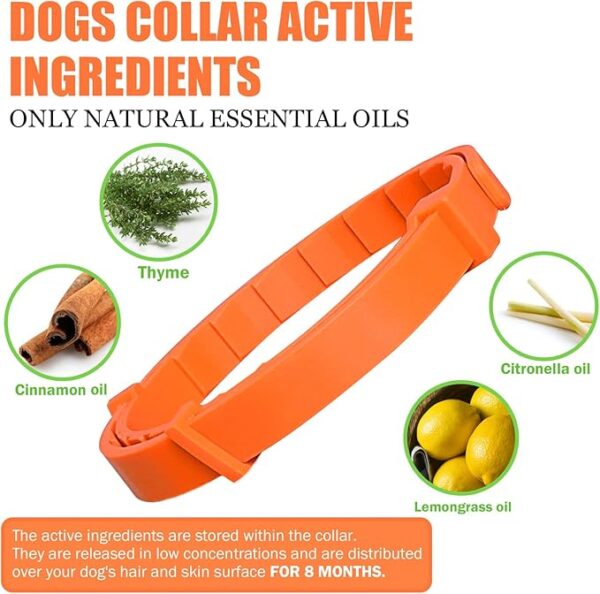 Qualihome Dog Collars