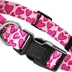 kazazoo Dog Collar