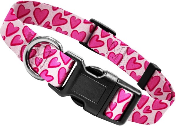 kazazoo Dog Collar