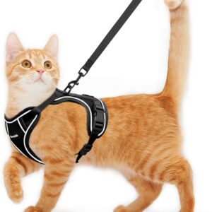 Kaazylab Cat Harness and Leash for Walking