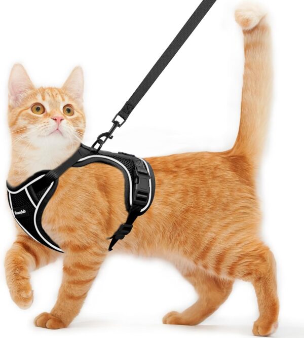 Kaazylab Cat Harness and Leash for Walking