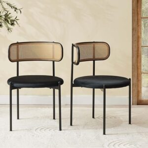Seekverse Rattan Dining Chairs