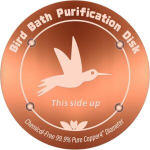CTTZCKJ Bird Bath Purification Disk