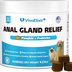 VivaElixir Digestive Health