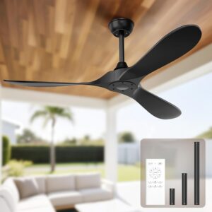 GHICC Black Ceiling Fan