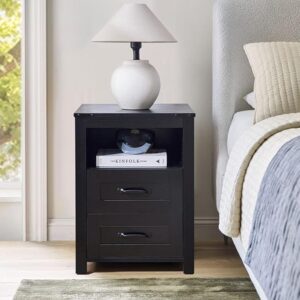 Seekverse Nightstand with 2 Storage Drawers