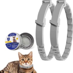Cat Collars