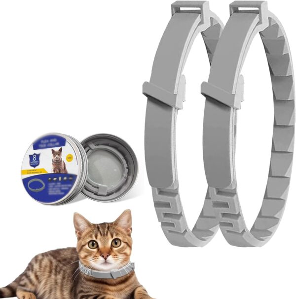 Cat Collars