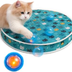 Interactive Cat Toys